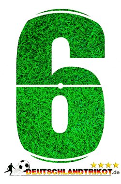 Rückennummer 6