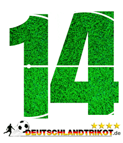 Rückennummer 14