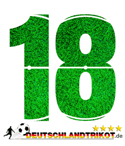 Rückennummer 18 im dFB TrikotRückennummer 18 im dFB Trikot